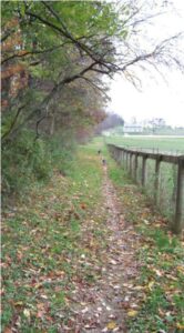 Trails