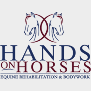 HandsOnHorses-300