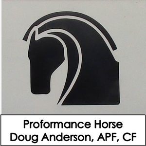 ProformanceHorse-300