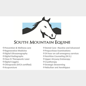 SouthMountainEquine-300